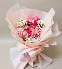 Pastel Dream Carnation Bunch