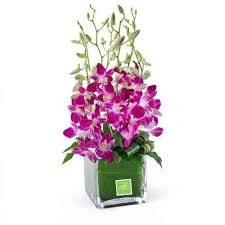 Orchid Elegance Glass Cube